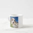 Recherche de shitzu tasses Animal