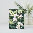 Recherche de rhododendron cartes postales Vintage