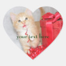 Recherche de vacances de chat photographie Chats