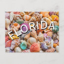Recherche de de floride cartes postales Coquillages