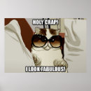 Recherche de lunettes posters Chat