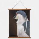 Recherche de oeil ouvert posters Oiseau