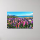 Recherche de nouvelle zélande art Paysage