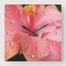 Recherche de ketmie rose Floral