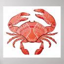 Recherche de crabe art Littoral