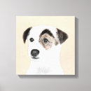 Recherche de jack russel toiles Chiot
