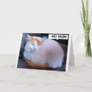 Recherche de turkish vœux cartes Chat