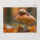 Recherche de escargots cartes postales Champignon