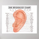 Recherche de chiropractie art Santé