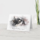 Recherche de velu vœux cartes Mignon