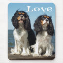 Recherche de cavalier king charles spaniel tapis souris Chiot