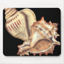 Recherche de coquilles tapis souris Coquillage