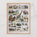 Recherche de esclaves cartes postales Livre