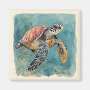 Recherche de tortues magnets Vie marine