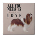 Recherche de cavalier carreaux Animal