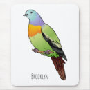 Recherche de pigeons tapis souris Oiseau
