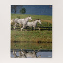 Recherche de running puzzles Animal