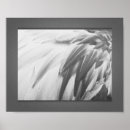 Recherche de gris rose posters Peinture murale