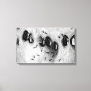 Recherche de fourmis art Pastèque