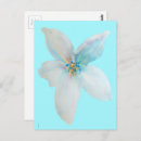 Recherche de fleur pastel cartes postales Blanc