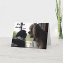 Recherche de shih vœux cartes Famille