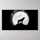Recherche de wolffie Alpha