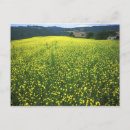 Recherche de tuscany cartes postales Field