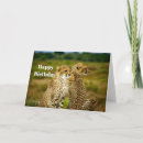 Recherche de cheetah anniversaire cartes Afrique