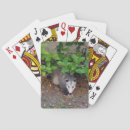 Recherche de extérieur jeux de cartes Animal