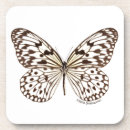 Recherche de photos papillons de dessous de verres Photographie de nature