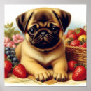 Recherche de peinture de carlin posters Chiot