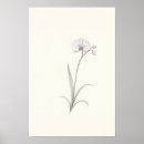 Recherche de orchidée art Floral