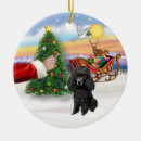 Recherche de caniche noir ornements Animaux domestiques