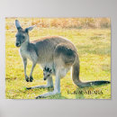 Recherche de kangourou posters Bébé
