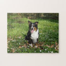 Recherche de berger australien puzzles Animal de compagnie
