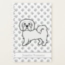 Recherche de coton de tulears Animal