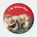 Recherche de hommes des cavernes magnets Mignon