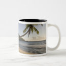 Recherche de seychelles tasses Plage