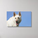 Recherche de canin impressions sur toile Berger allemand