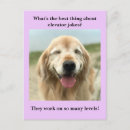 Recherche de humoriste cartes postales Rire