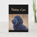 Recherche de motivant vœux cartes Encourageant