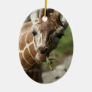 Recherche de girafe ornements Safari