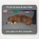Recherche de teckels électronique Daschund