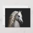 Recherche de étalon blanc cartes postales Équestre