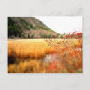 Recherche de tarn cartes postales Paysage