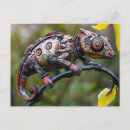 Recherche de brindilles cartes postales Animal