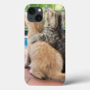Recherche de de chaton ipad coques Chatons