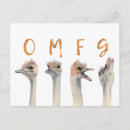 Recherche de humour animal cartes postales drôle