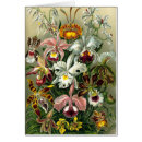 Recherche de orchidées exotiques cartes postales Fleurs