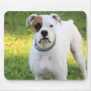 Recherche de boxer tapis souris Mignon